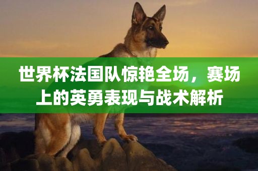 世界杯法国队惊艳全场，赛场上的英勇表现与战术解析