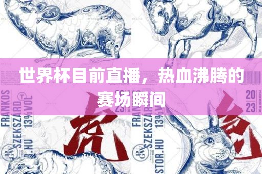 世界杯目前直播，热血沸腾的赛场瞬间