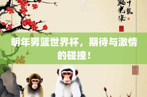 明年男篮世界杯，期待与激情的碰撞！
