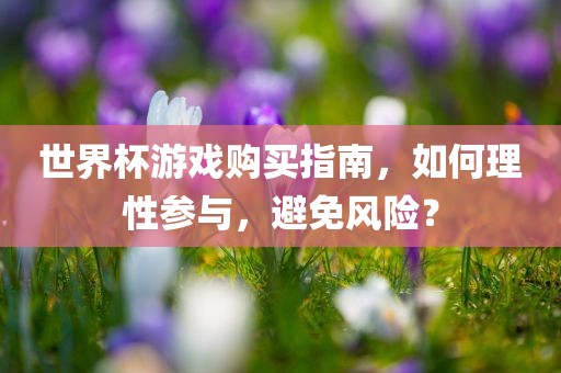 世界杯游戏购买指南，如何理性参与，避免风险？