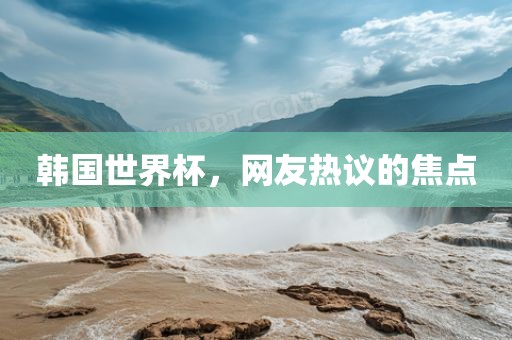 韩国世界杯，网友热议的焦点