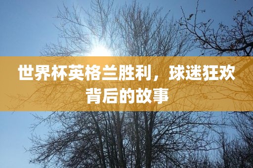 世界杯英格兰胜利，球迷狂欢背后的故事