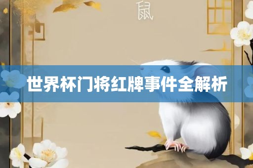 世界杯洛阳市法福文化传播有限公司门将红牌事件全解析