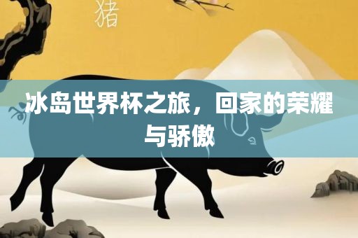 冰岛世界杯之旅，回家的荣耀与骄傲