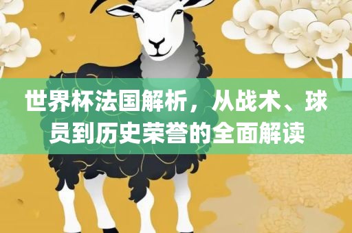 世界杯法国解析，从战术、球员到历史荣誉的全面解读