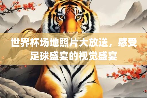 世界杯场地照片大放送，感受足球盛宴的视觉盛宴