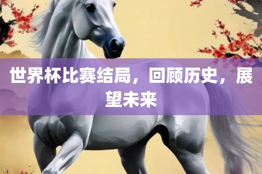 世界杯比赛结局，回顾历史，展望未来