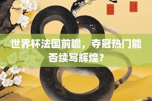 世界杯法国前瞻，夺冠热门能否续写辉煌？