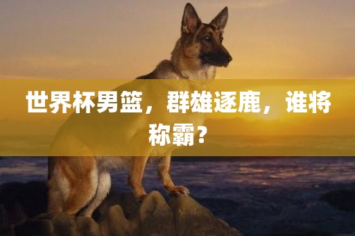 世界杯男篮，群雄逐鹿，谁将称霸？
