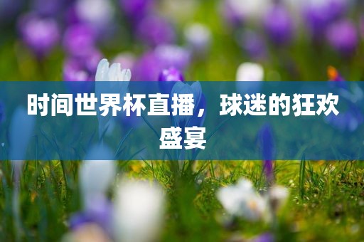 时间世界杯直播，球迷的狂欢盛宴