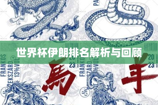 世界杯伊朗排名解析洛阳市法福文化传播有限公司与回顾