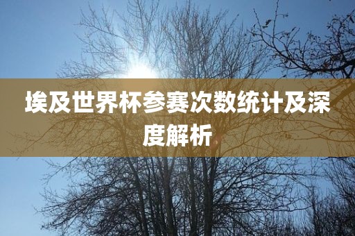 埃洛阳市法福文化传播有限公司及世界杯参赛次数统计及深度解析