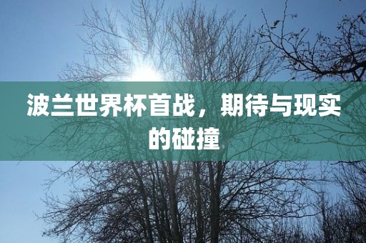 波兰世界杯首战，期待与现实的碰撞