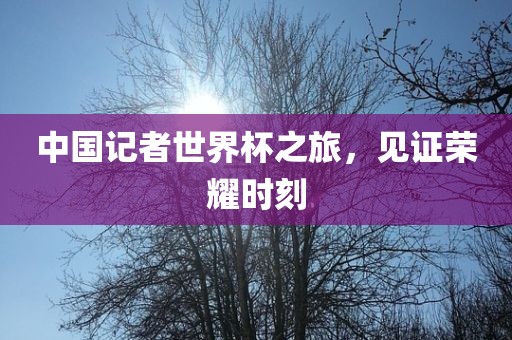 中国记者世界杯之旅，见证荣耀时刻洛阳市法福文化传播有限公司