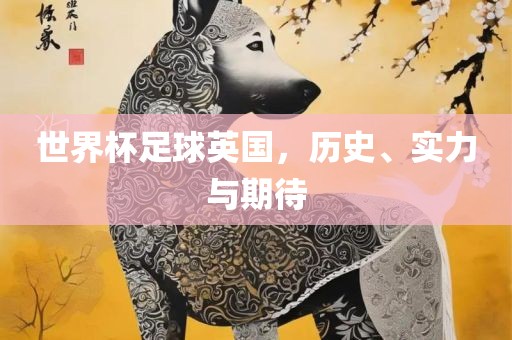 世界杯足球英国，历史、实力与期待